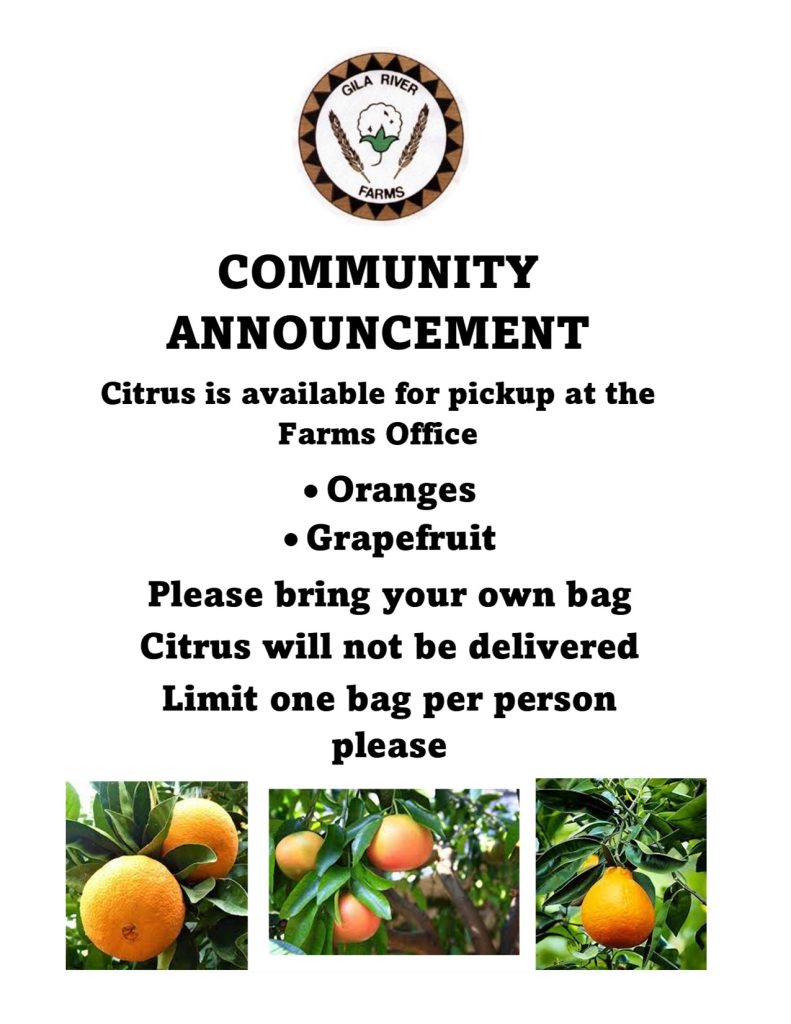 Hay Assistant Gila River Farms Sales